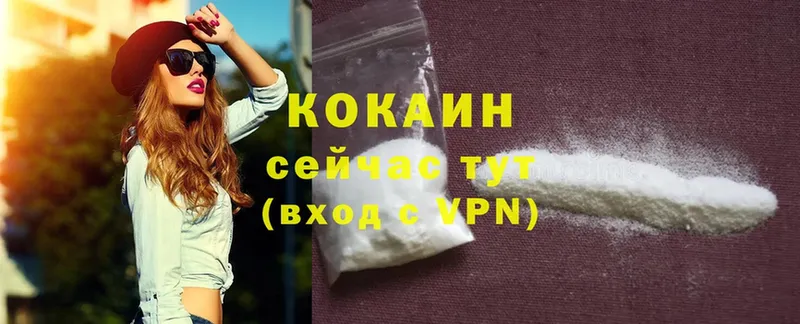 купить наркоту  Барабинск  Cocaine Fish Scale 